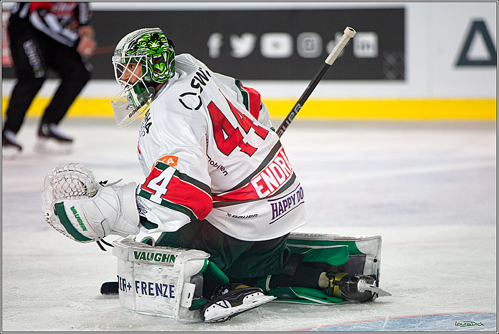 PENNY DEL; Koelner Haie- Augsburger Panther; Koeln, 08.01.2023